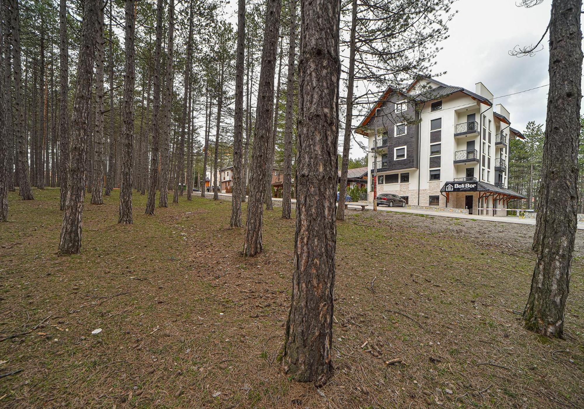 Beli Bor Zlatibor Aparthotel Ngoại thất bức ảnh